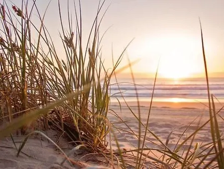 Beachhouse Noordzee - 2 Minutes From The Дом отдыха Нордвейк-ан-Зее
