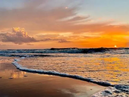 Beachhouse Noordzee - 2 Minutes From The